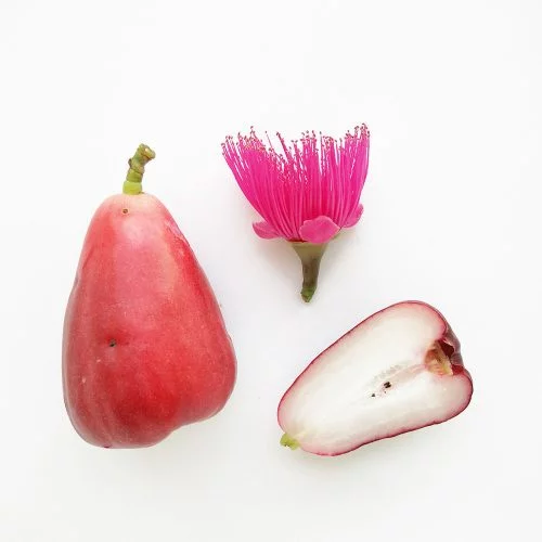 Pomarosa Fruta Pomarrosa #roseapple#otaheite #waterapple#pomarrosa